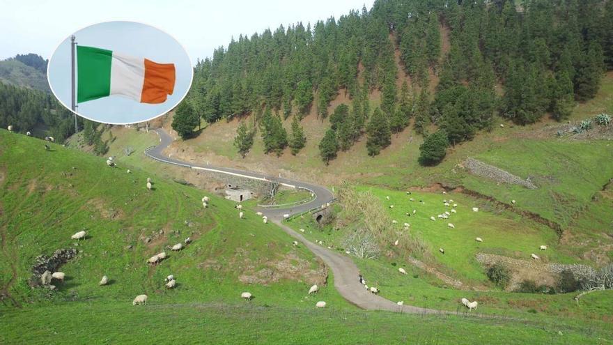 Ni Dublín ni Belfast: Monte Pavón esconde la verdadera Irlanda en el Norte de Gran Canaria