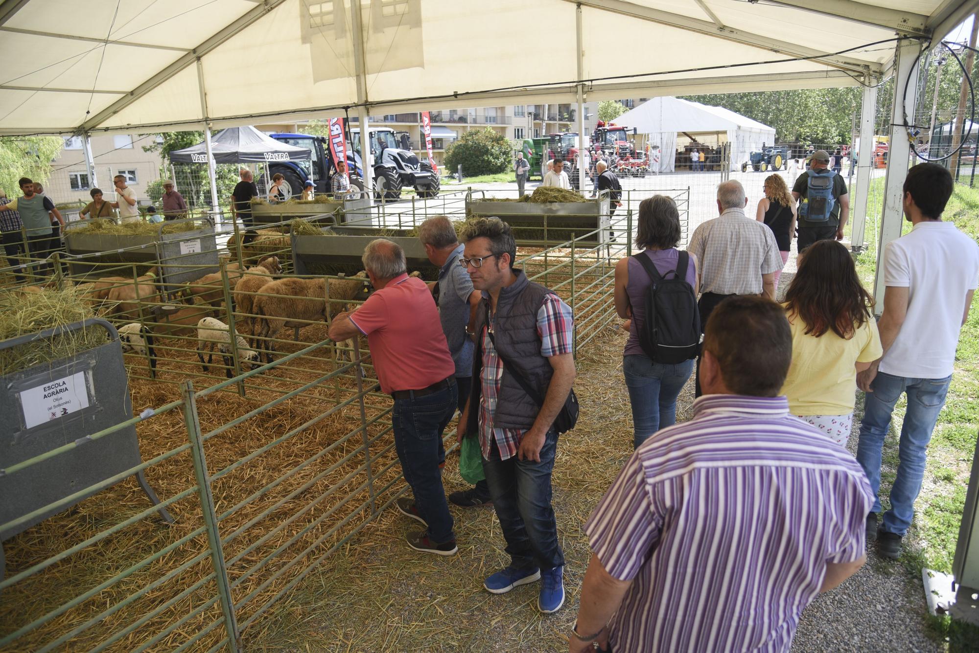 Les millors imatges de la Fira de Sant Isidre