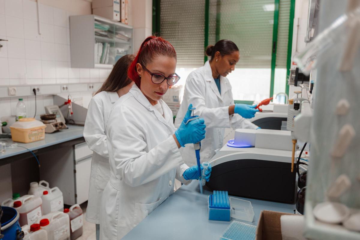 Formación de investigación en un laboratorio de la Facultad de Ciencias de la Universidad de Córdoba.