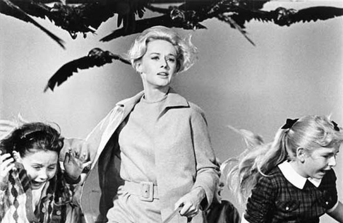 Tippi Hedren, en una seqüència d’’Els ocells’ Tippi Hedren, en una seqüència d’’Els ocells’