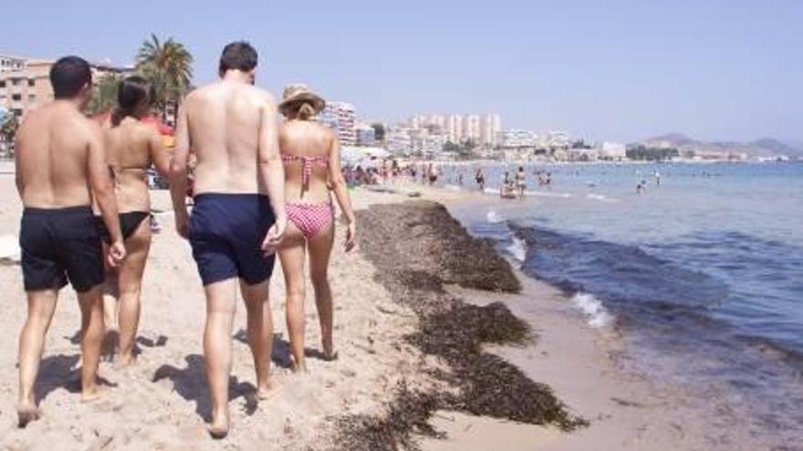 El número de turistas se incrementa casi un 3% en La Vila Joiosa esta temporada