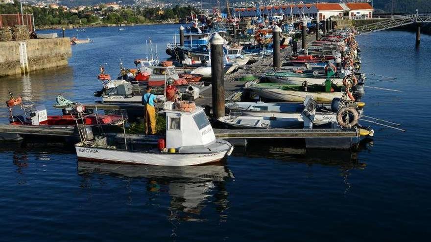 El principal pantalán de pesca de bajura, ayer, en el muelle de Meira. // Gonzalo Núñez