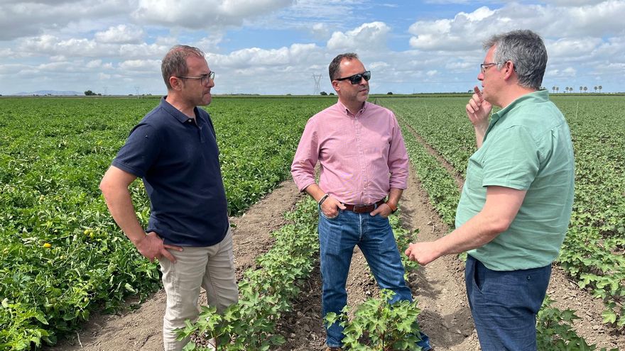 Biofertilizantes sostenibles: la solución de Agrofert frente al cambio climático