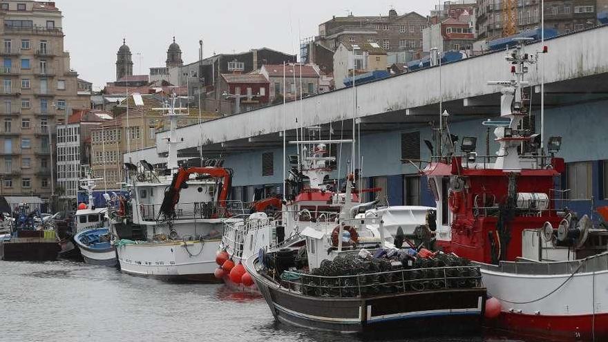 La flota de bajura viguesa, amarrada en O Berbés. // Ricardo Grobas