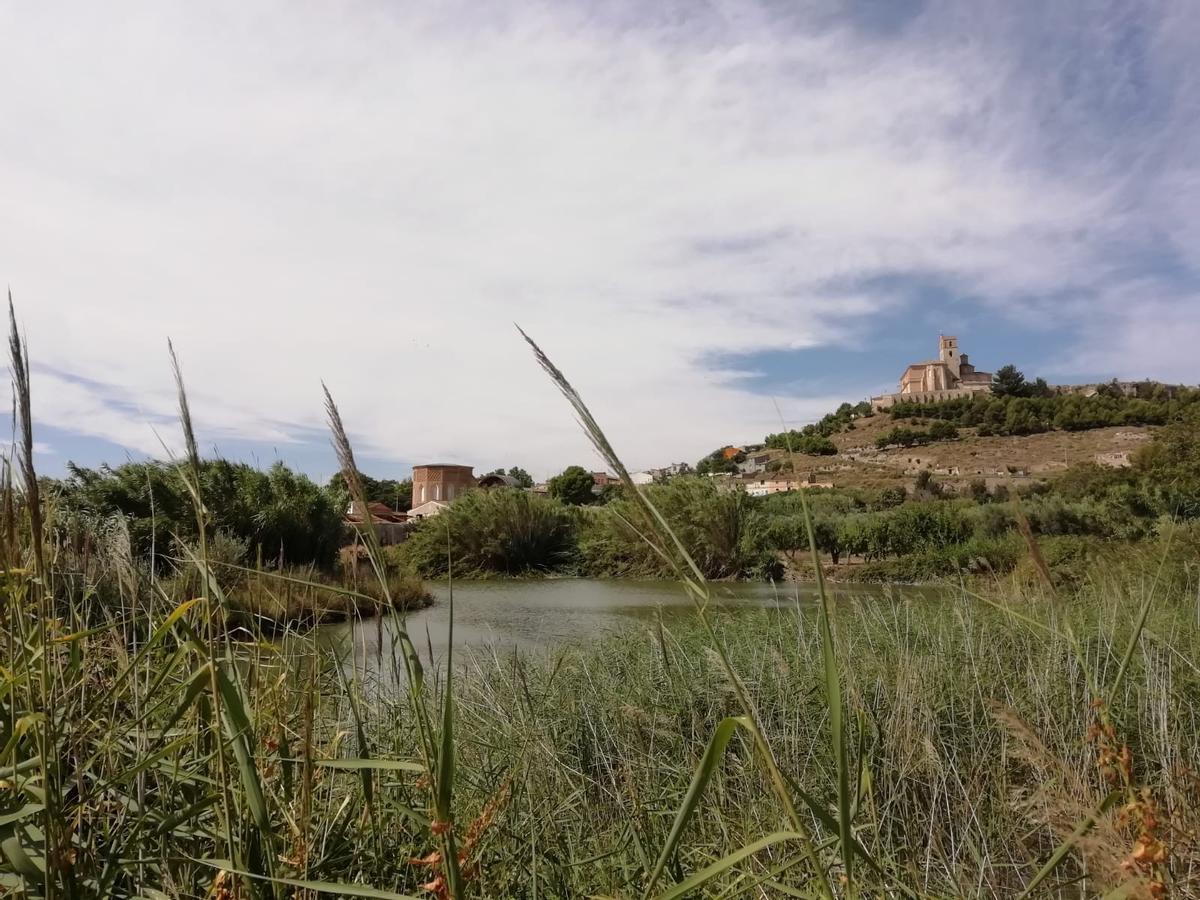 Magallón