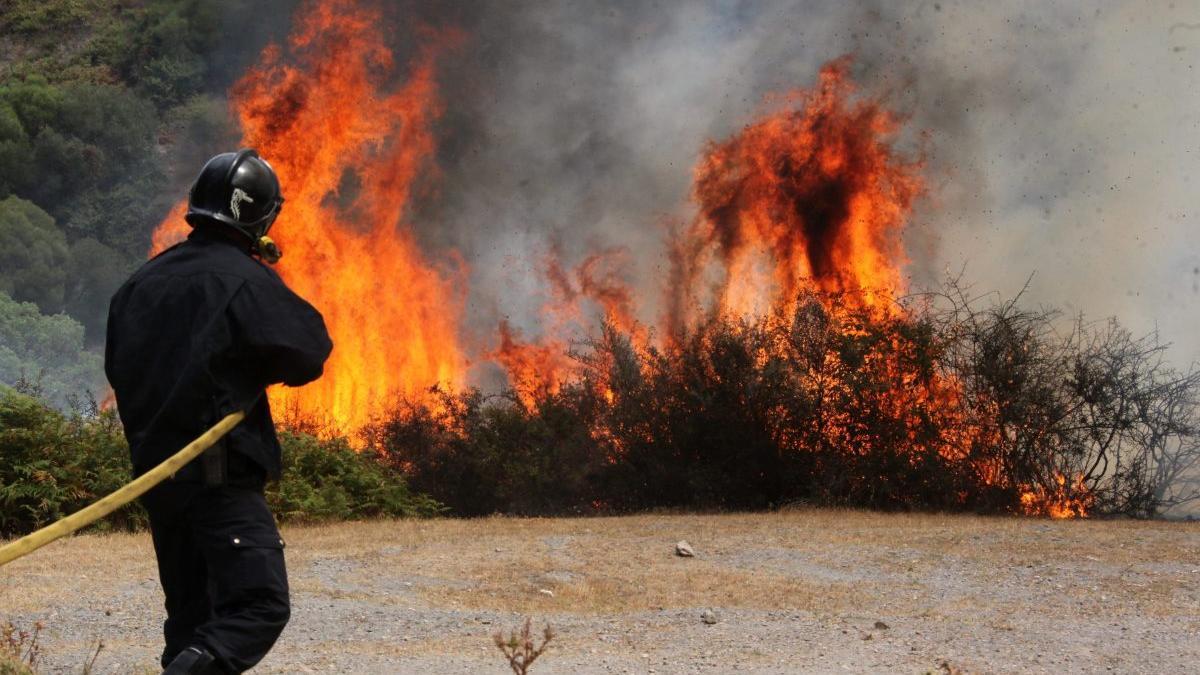 Un bombero trabaja contra el fuego