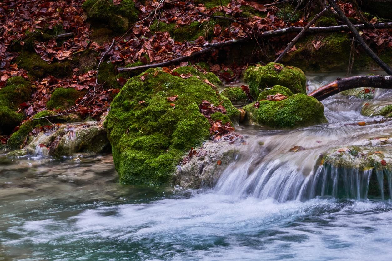 Los paisajes navarros parecen generados por IA: son bellísimos.