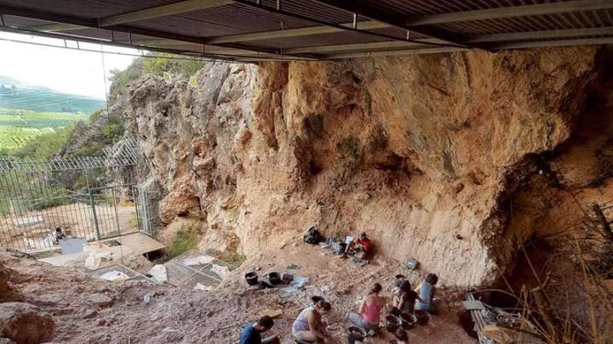 Las excavaciones en la Cova del Bolomor de Tavernes de la Valldigna, suspendidas por segundo año consecutivo