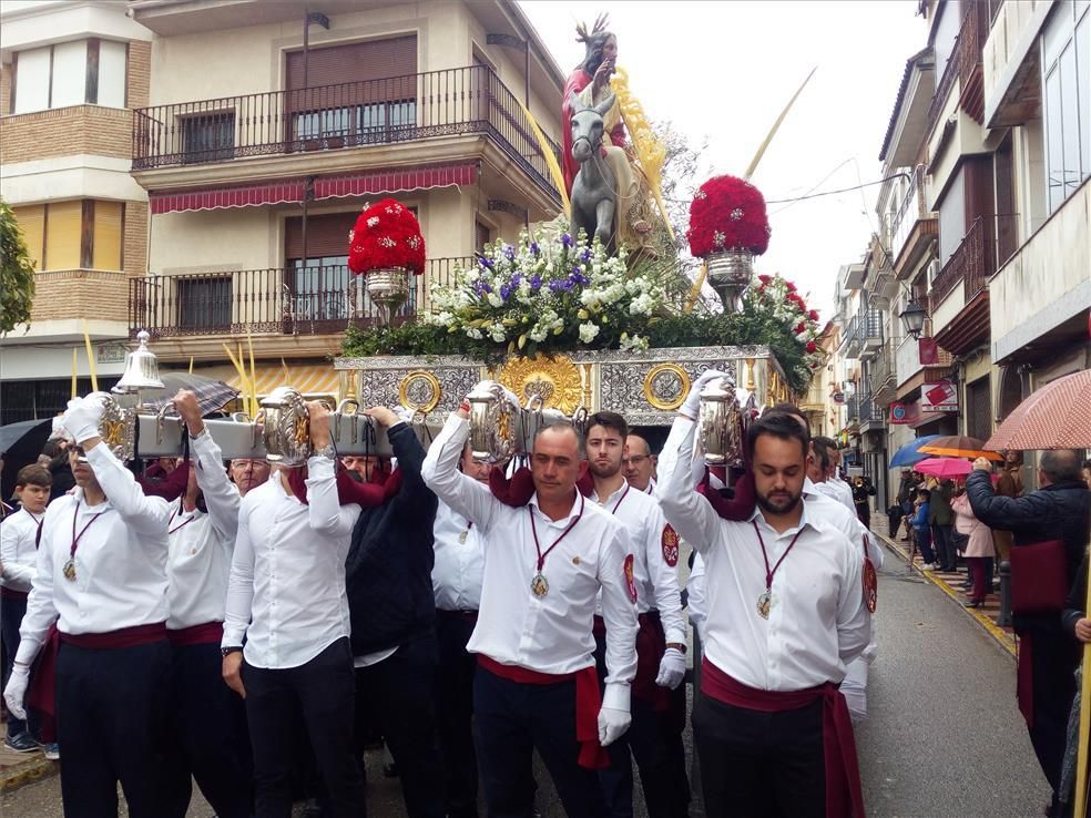 Imágenes del Domingo de Ramos en la provincia