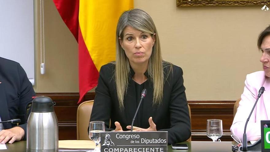 Vilaplana niega presiones del PP pero evita responder a los diputados sobre la dana