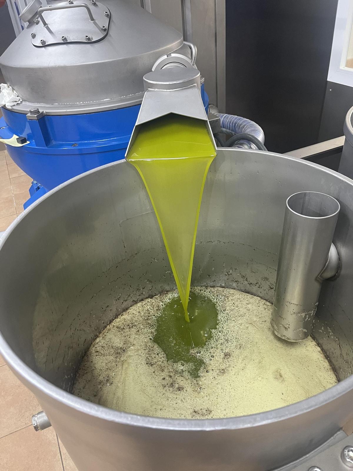 Donación de aceite de oliva para investigar en patologías raras