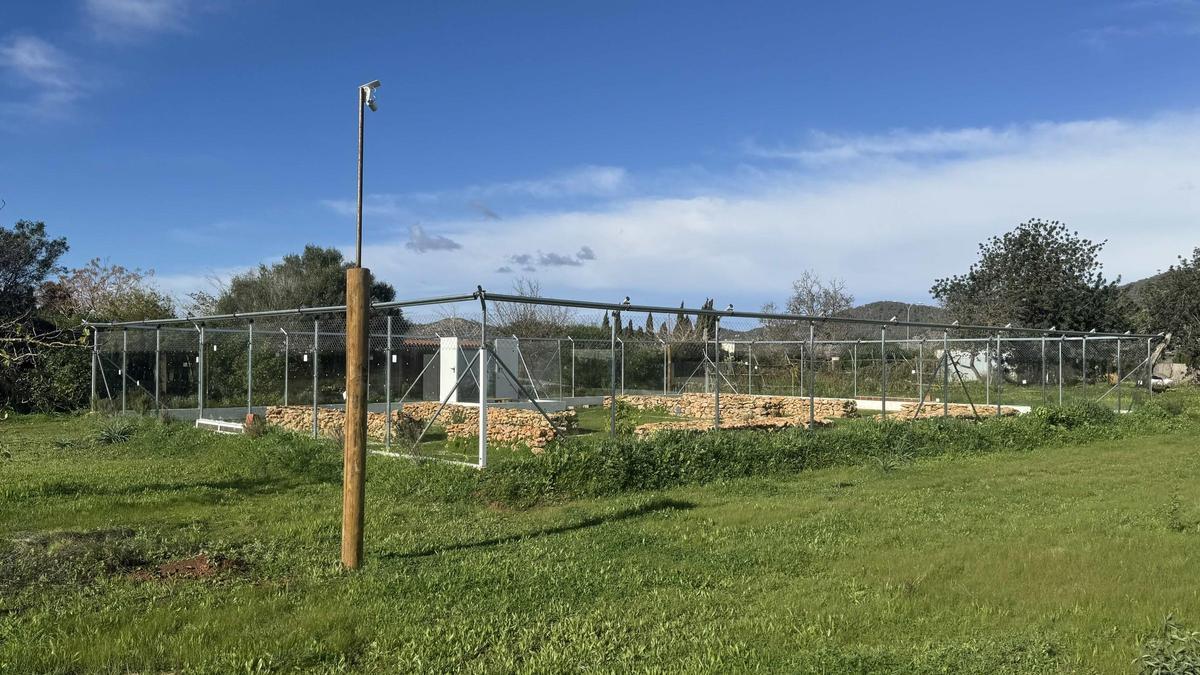 Recinto del santuario para la conservación de la sargantana de Ibiza