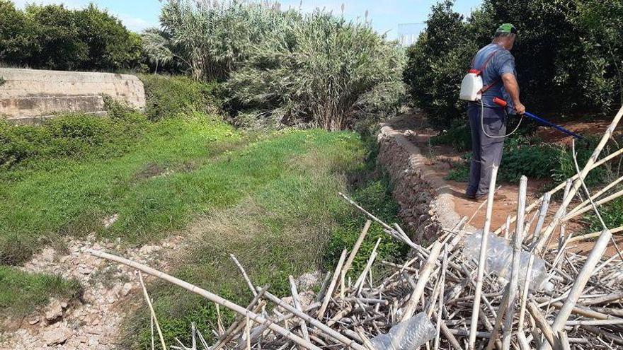 Vila-real urge a la CHJ la limpieza de 16 cruces de barrancos con caminos