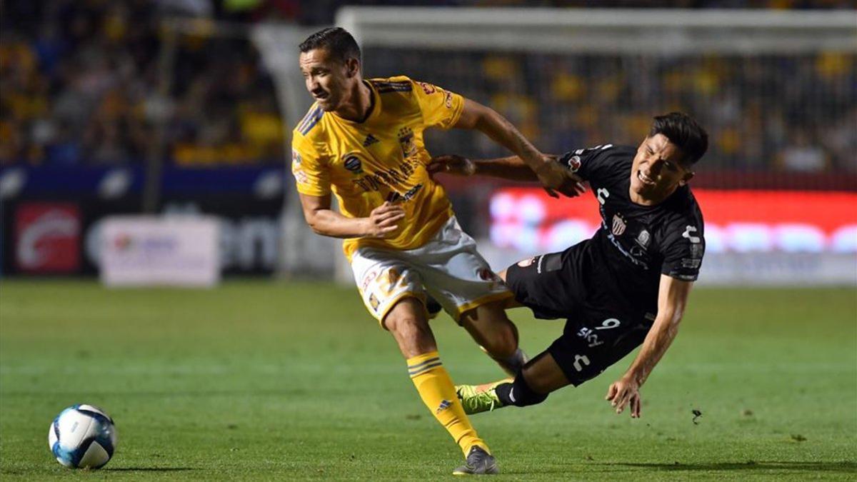 Tigres llegó a 16 puntos en el Clausura 2019