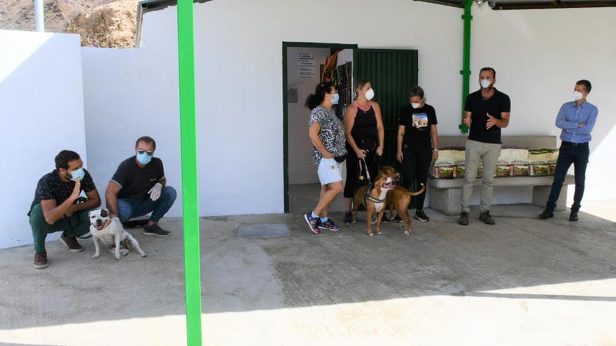 Todos los perros del albergue de Mogán encuentran un hogar