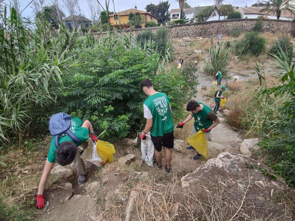Otro momento de la limpieza en un tramo del arroyo Jaboneros por voluntarios de Andalimpia.