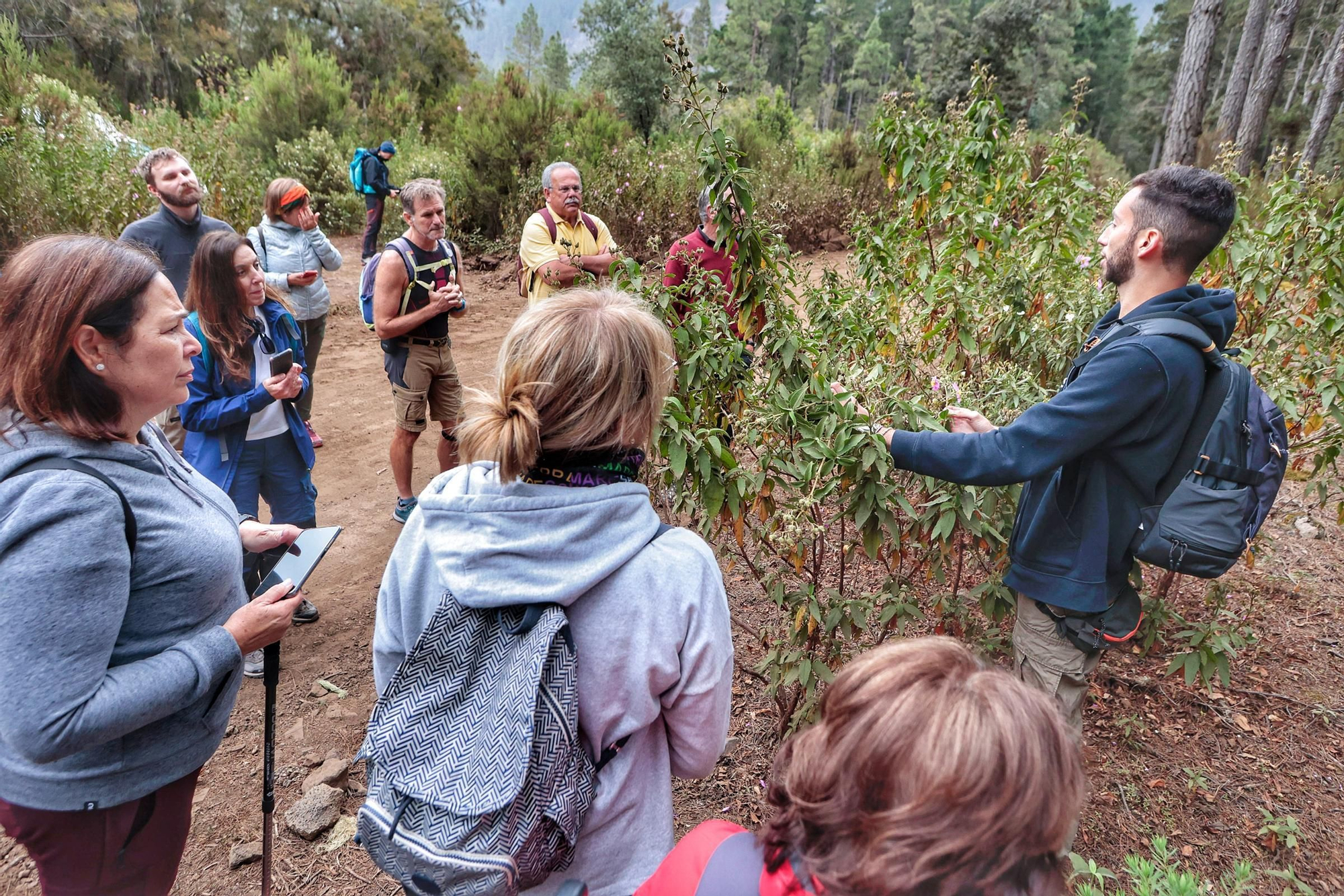 Tercera edición del Biomaratón de Flora Española, en el Parque Recreativo La Caldera, La Orotava