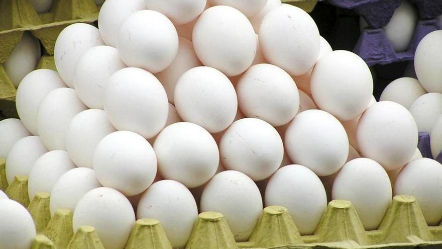Encontrar huevos blancos es difícil y es tu culpa.