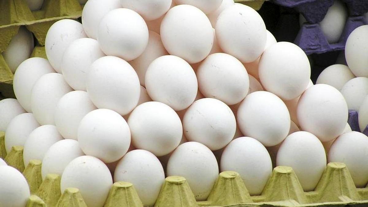 Huevos blancos: ¿están en extinción?