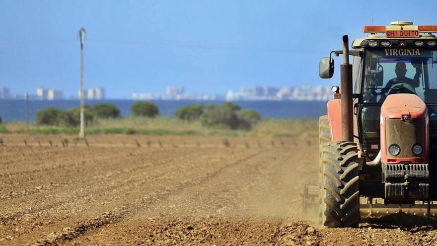 Un tractor labra la tierra en sentido de la pendiente hacia el Mar Menor, en una foto de archivo.