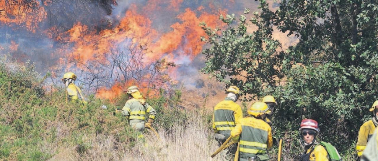 Los agentes forestales y bomberos sofocan el incendio de 2017 en El Muelo.
