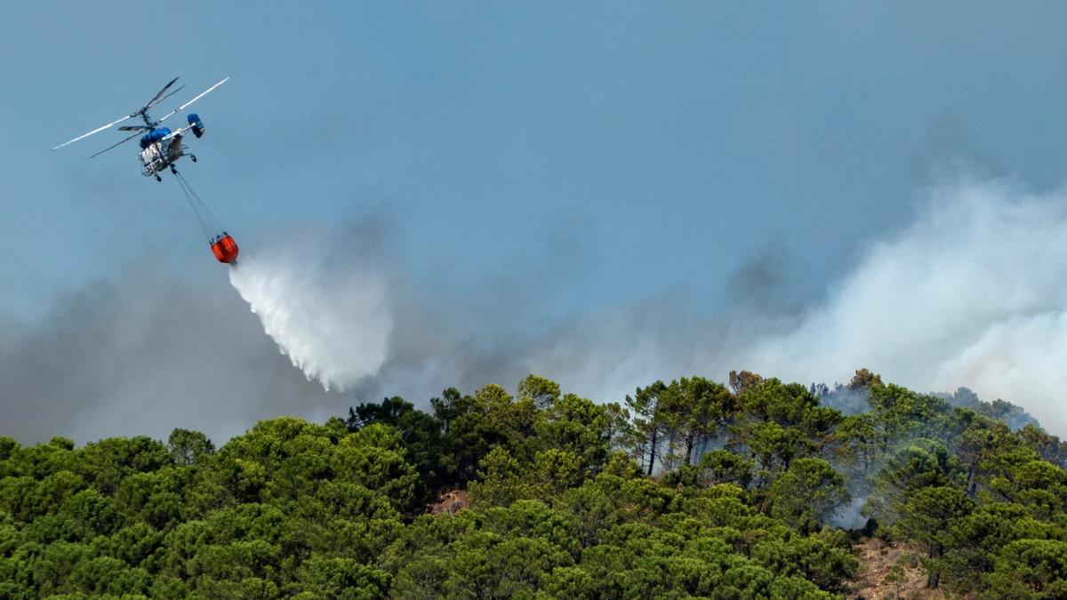 Un incendio en Sierra Bermeja provoca el desalojo de un millar personas en Estepona, Jubrique y Genalguacil