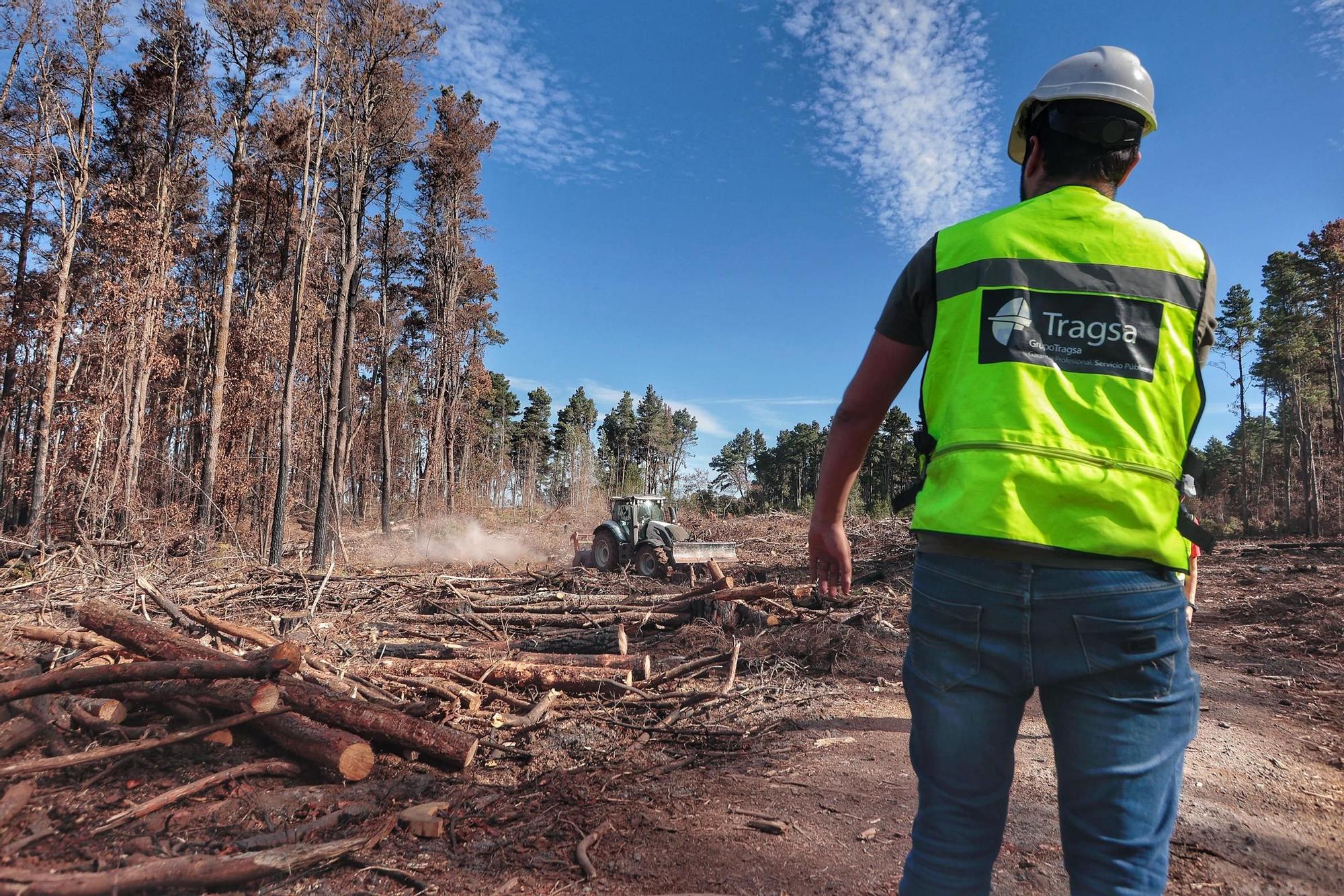 Visita a zonas afectadas por el incendio de agosto en Tenerife