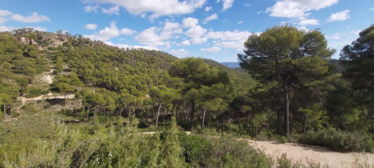 Panorámica de Sierra Espuña.