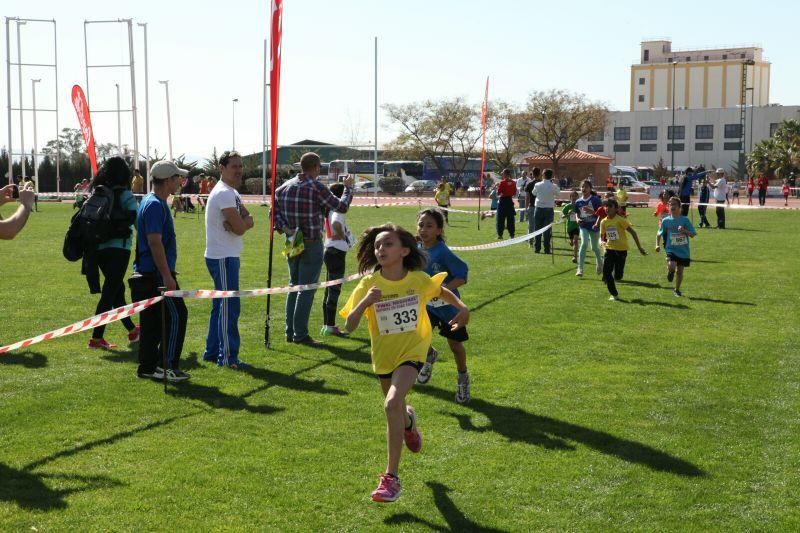 Final Regional de Campo a Través en Edad Escolar