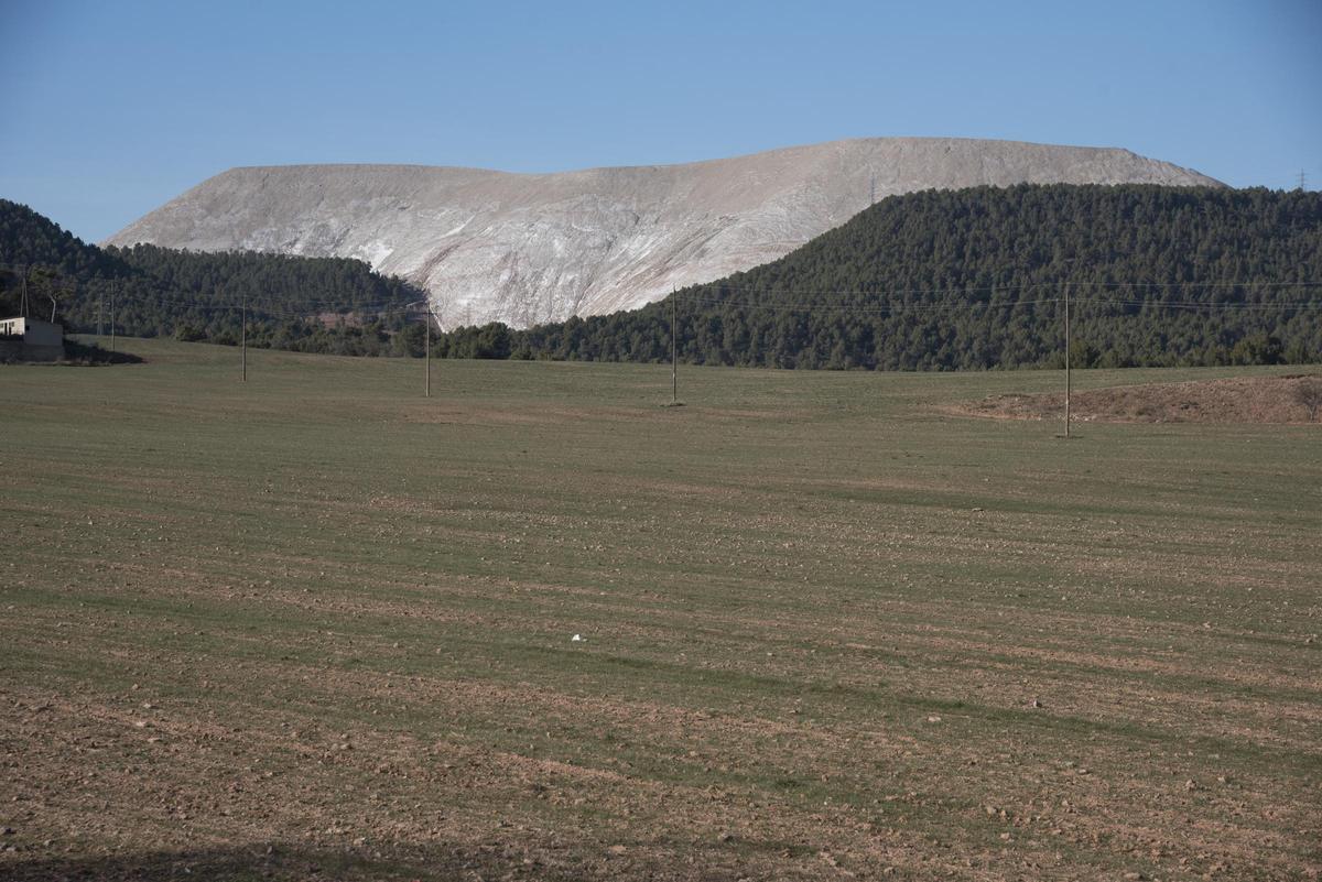 Imatge del runam salí del Cogulló de Sallent, el més gran dels dos que hi ha al municipi, de fons amb un camp segat en primer pla