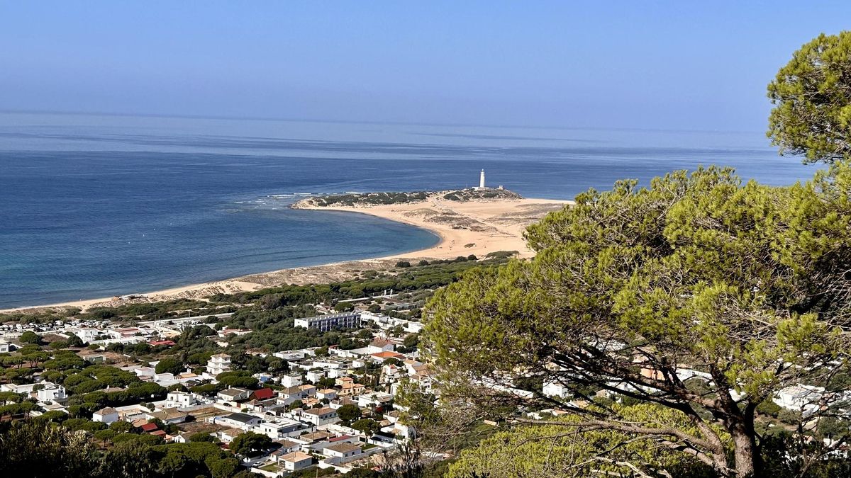 Vista panorámica de Caños de Meca, con el pinar frente a la playa