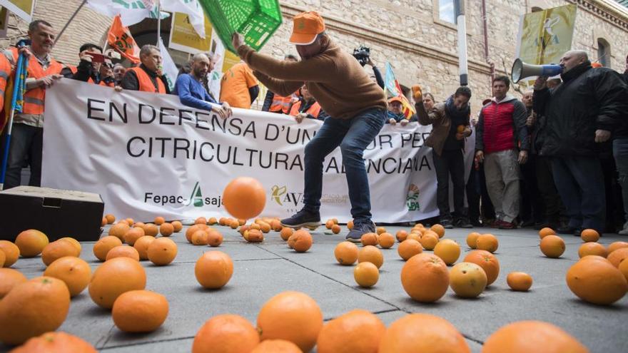 Protesta en València contra la naranja sudafricana.