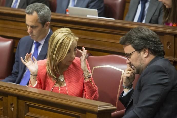 Delia Padrón Pleno del Parlamento de Canarias , Santa Cruz de Tenerife , presidente Fernando Clavijo CC