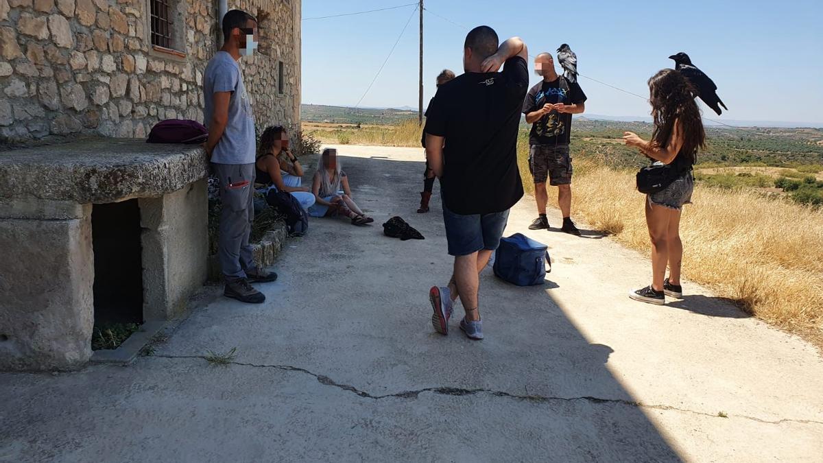 Grup de persones denunciades per fer volar corbs a la Reserva Natural Parcial de Mas de Melons