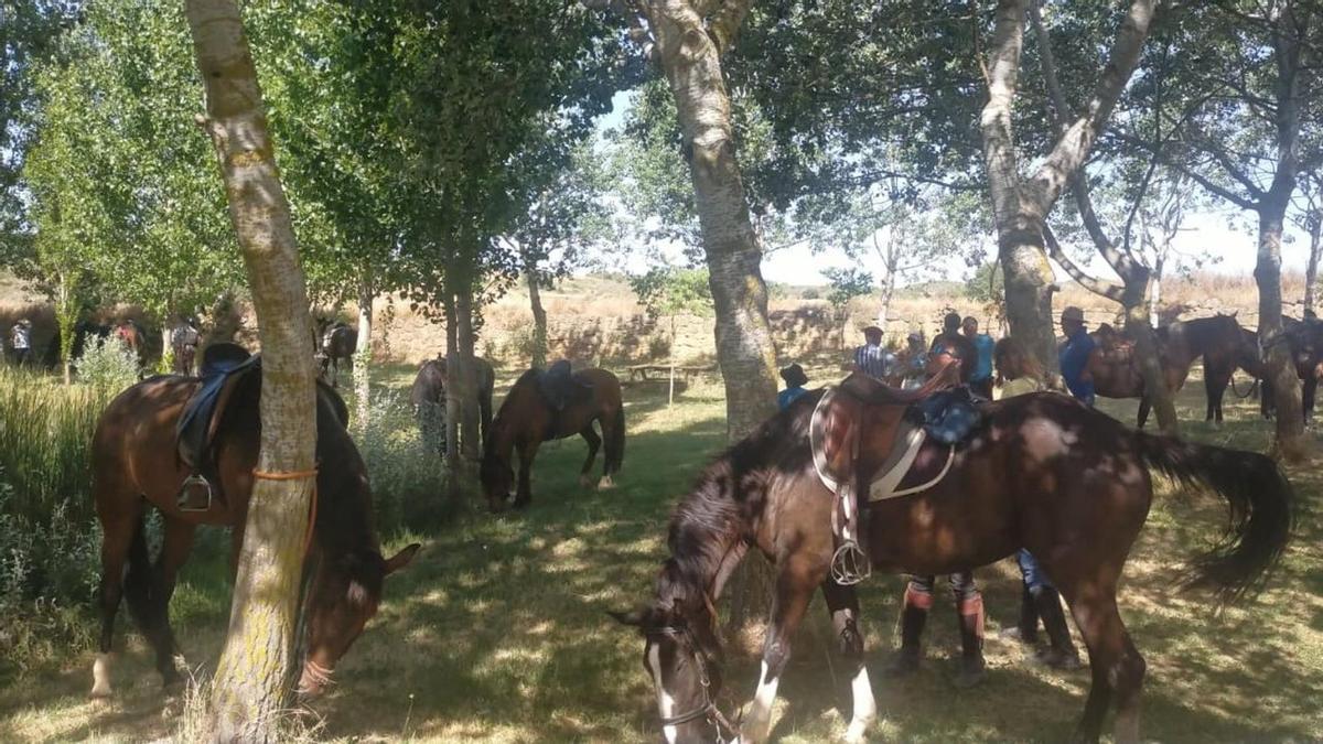 Una treintena de caballos toman las calles de San Esteban de Litera en una jornada de tradición y convivencia