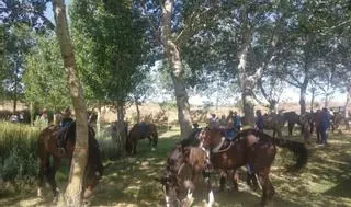 Una treintena de caballos toman las calles de San Esteban de Litera en una jornada de tradición y convivencia