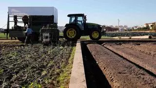 El Gobierno anuncia una importante rebaja fiscal del IRPF que beneficiará a 800.000 agricultores y ganaderos