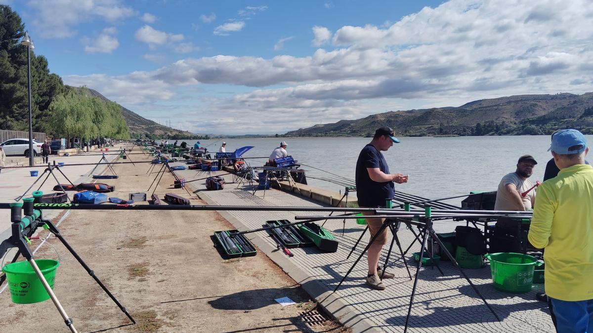 Pescadores en el pantano de Mequienza durante una competición internacional, este fin de semana.