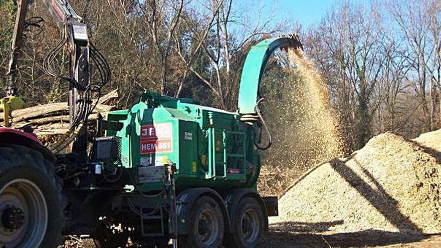 Biomassa forestal per a la producció d&#039;energia tèrmica