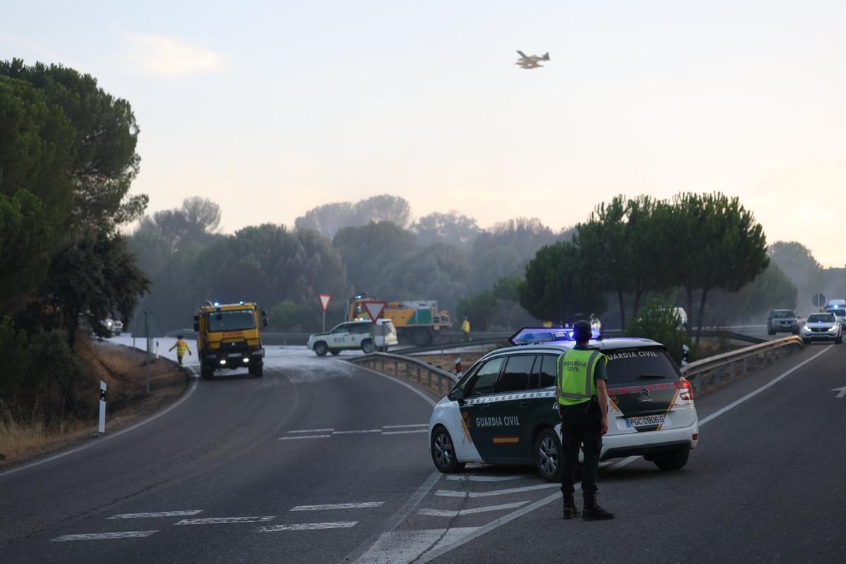 Nuevo incendio forestal en Cerro Muriano, en imágenes