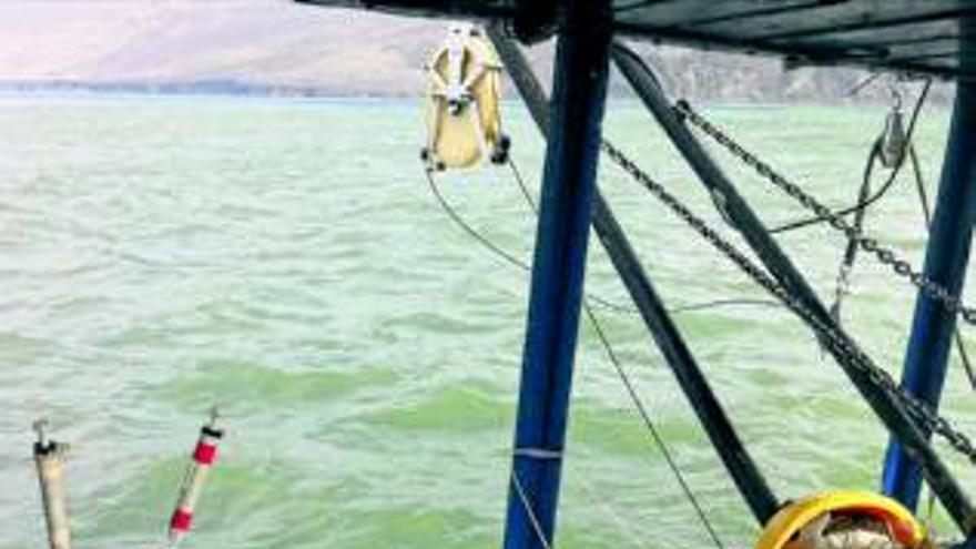 Un volcán submarino empieza a formarse a dos km de El Hierro