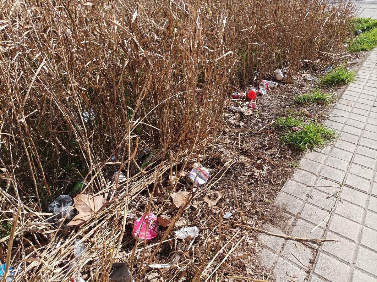 Solar brut sense tancament del barri de l'Horta Capallera de Figueres