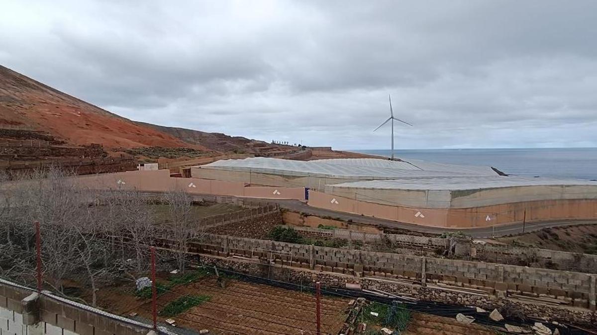 Imagen de la ubicación elegida para el proyecto de la planta de biogás, en La Atalaya de Guía.