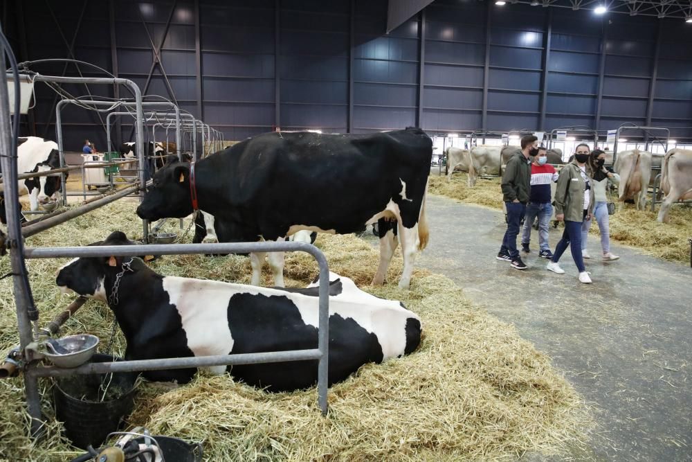 Agropec cierra su cita en Gijón