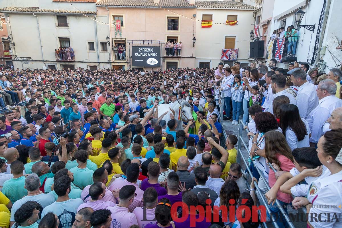 Entrega de premios del concurso morfológico de los Caballos del Vino de Caravaca