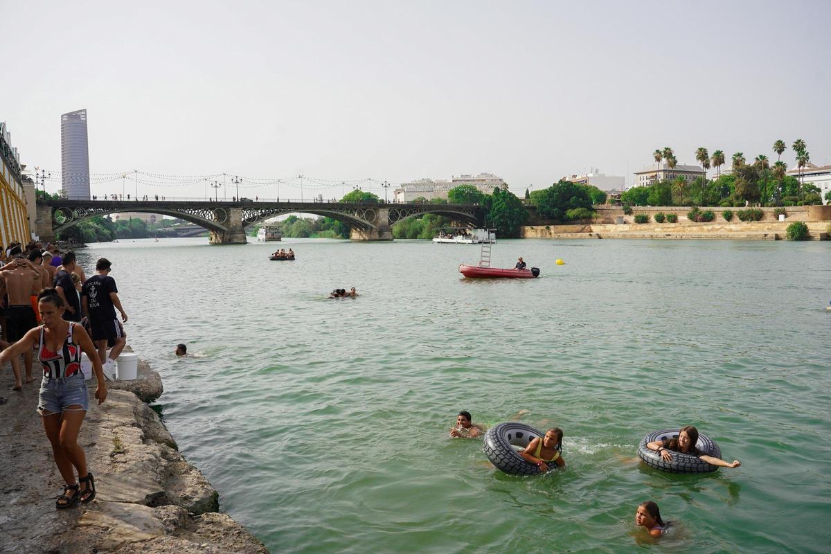 La 'cucaña', el juego centenario que regresa cada verano al río Guadalquivir por la Velá de Santa Ana en imágenes