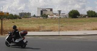 El Consejo Consultivo ve "contrario" a la ley la cesión de terreno para la ciudad deportiva