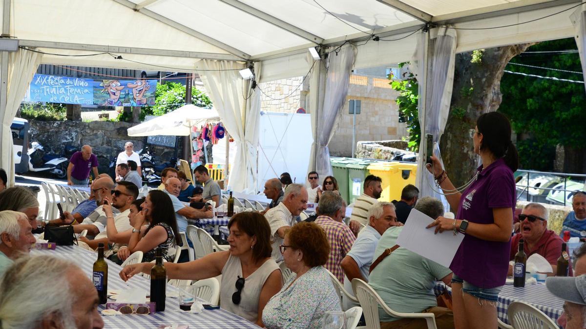 Un momento de la pasada edición de la Festa do Tinta Femia de Cela.