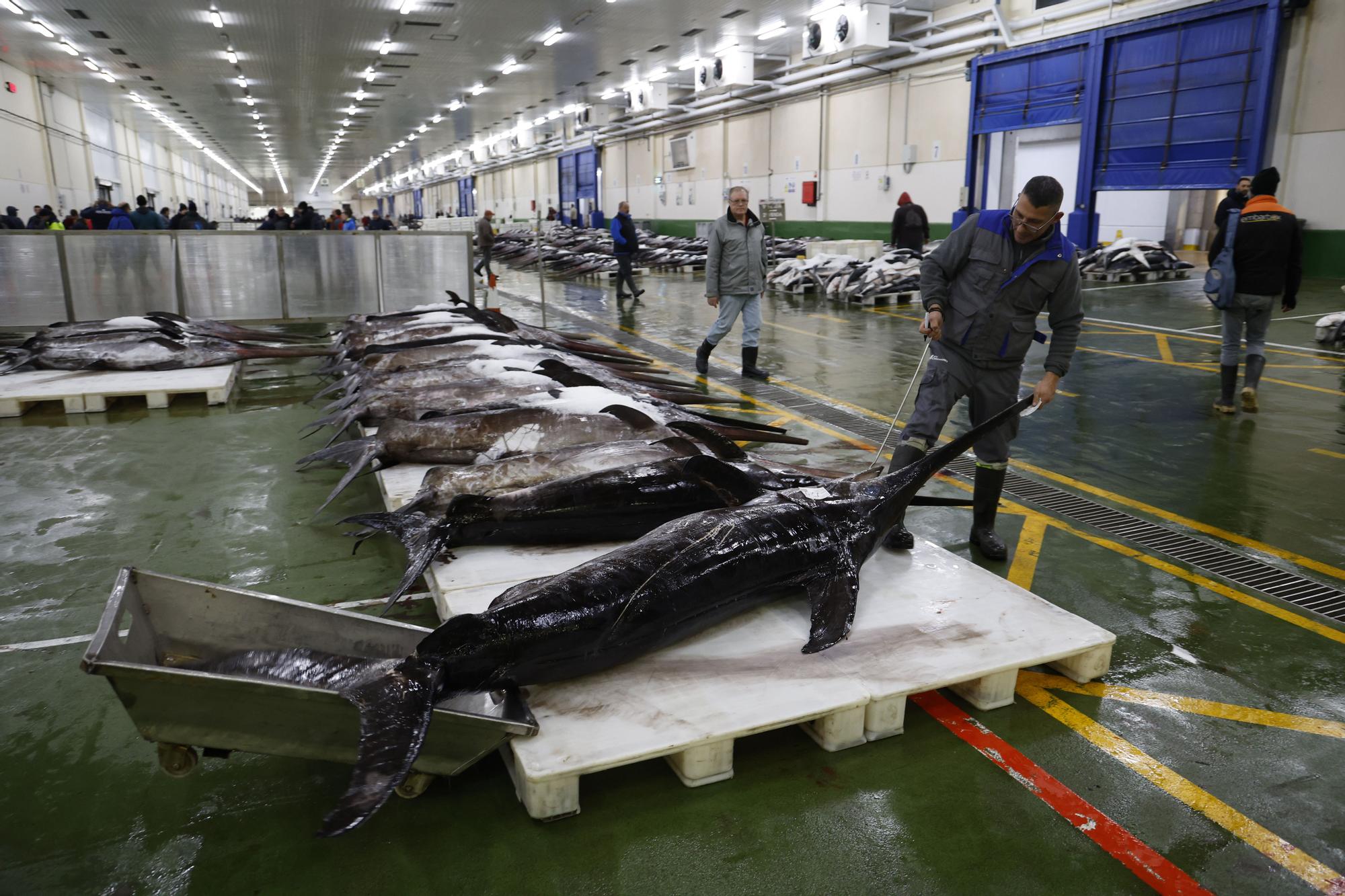 Barcos portugueses recurren a la lonja de Vigo para vender tintoreras y pez espada