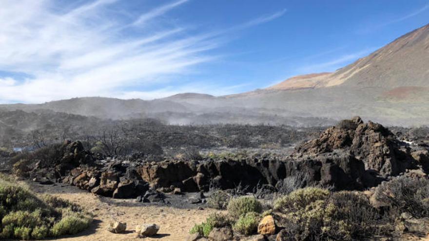 Aspecto de la zona afectada por el fuego que se inició en la Cañada de los Guancheros.